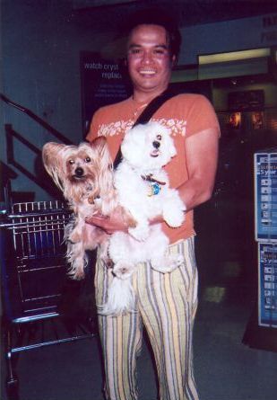 dog days of shopping