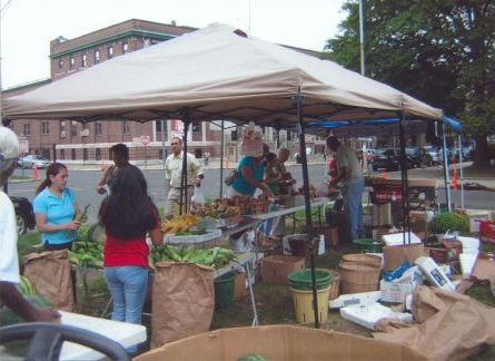 Farm Market Shoppers 2