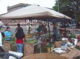 farm market shoppers 2