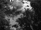stream